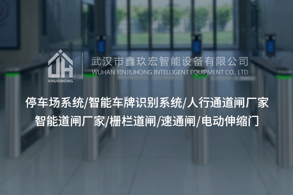 湖北擺閘設(shè)計(jì)，滿足多樣化需求？